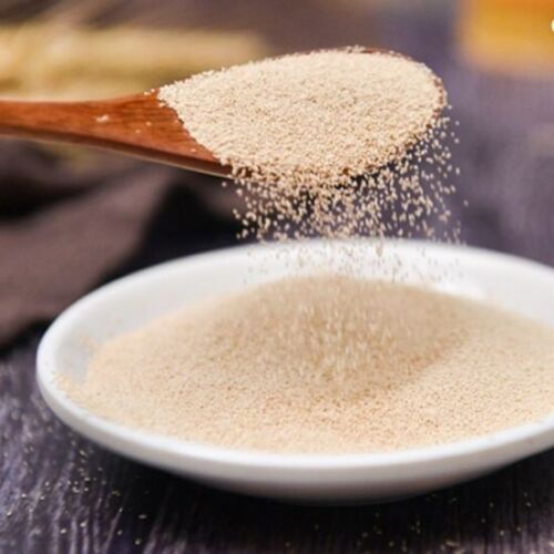 Abido Yeast | 100g Packs