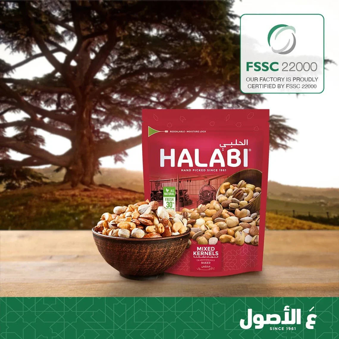 Lebanese Halabi Mixed Kernels | 250g Packs